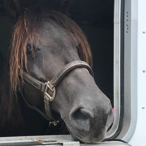 Meet your Posher, Robin